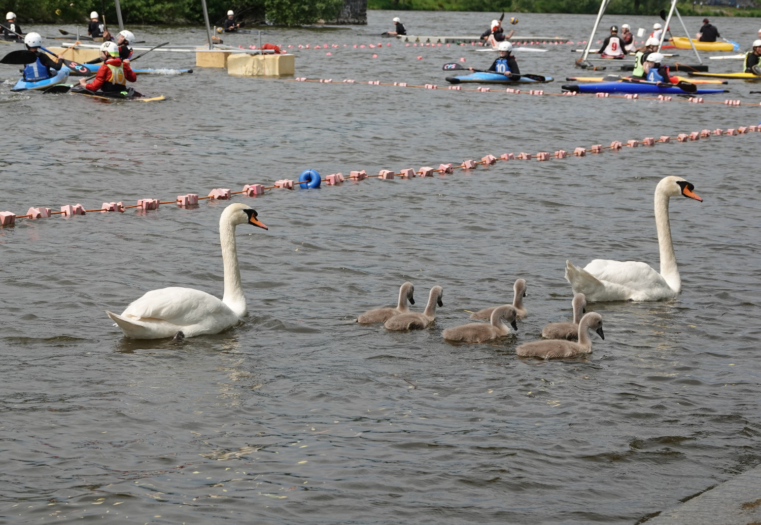 Durchgestartet – beim International Canoepolo Tournament Prague 2019