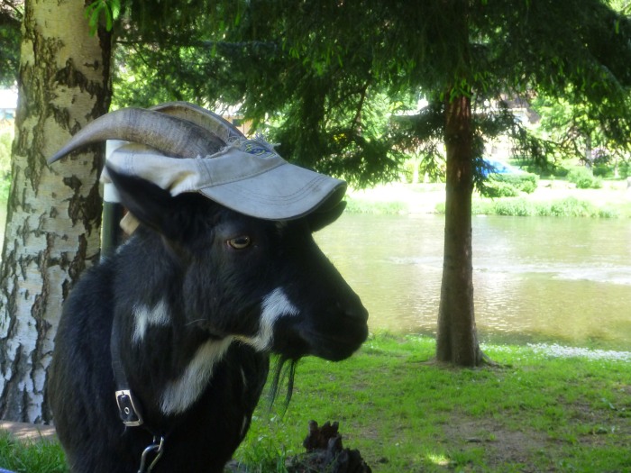 Himmelfahrt auf der Eger